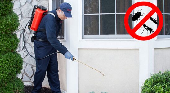 Nurdağı Dezenfeksiyon böcek ilaçlama ve haşere kontrolü — ilaclama-tr.com